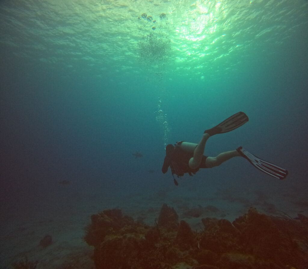 scuba diving cozumel busy bee adventures gopro underwater photography