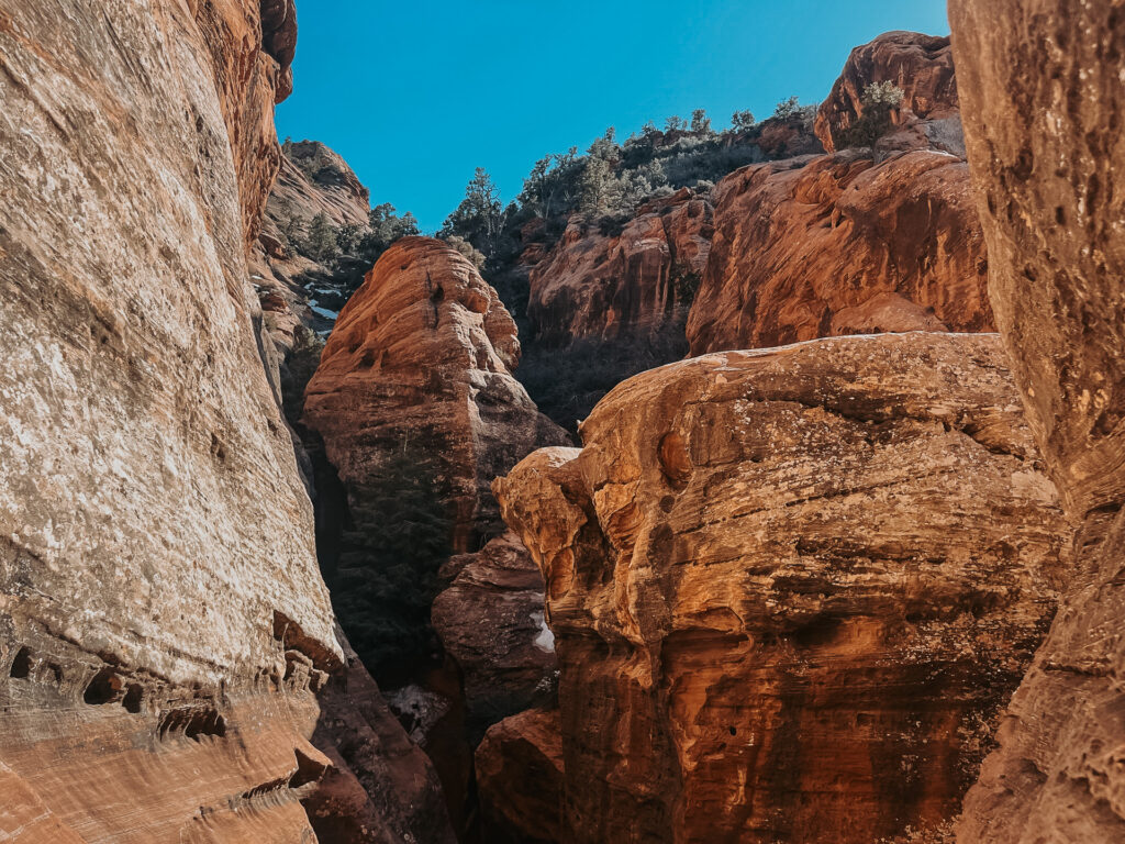 zion national park rock climbing canyoneering