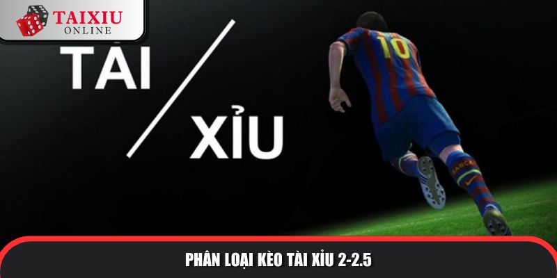 phan loai tai xiu 2 2 5 816 Có nhiều dạng tài xỉu 2-2.5 là gì