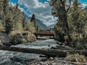 ouray colorado