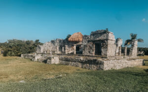 busy bee adventures yucatan