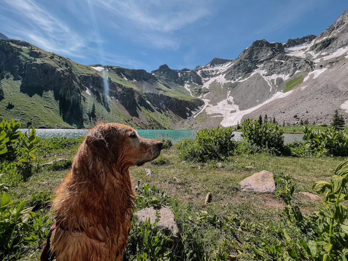 ollie lower blue lake ouray colorado