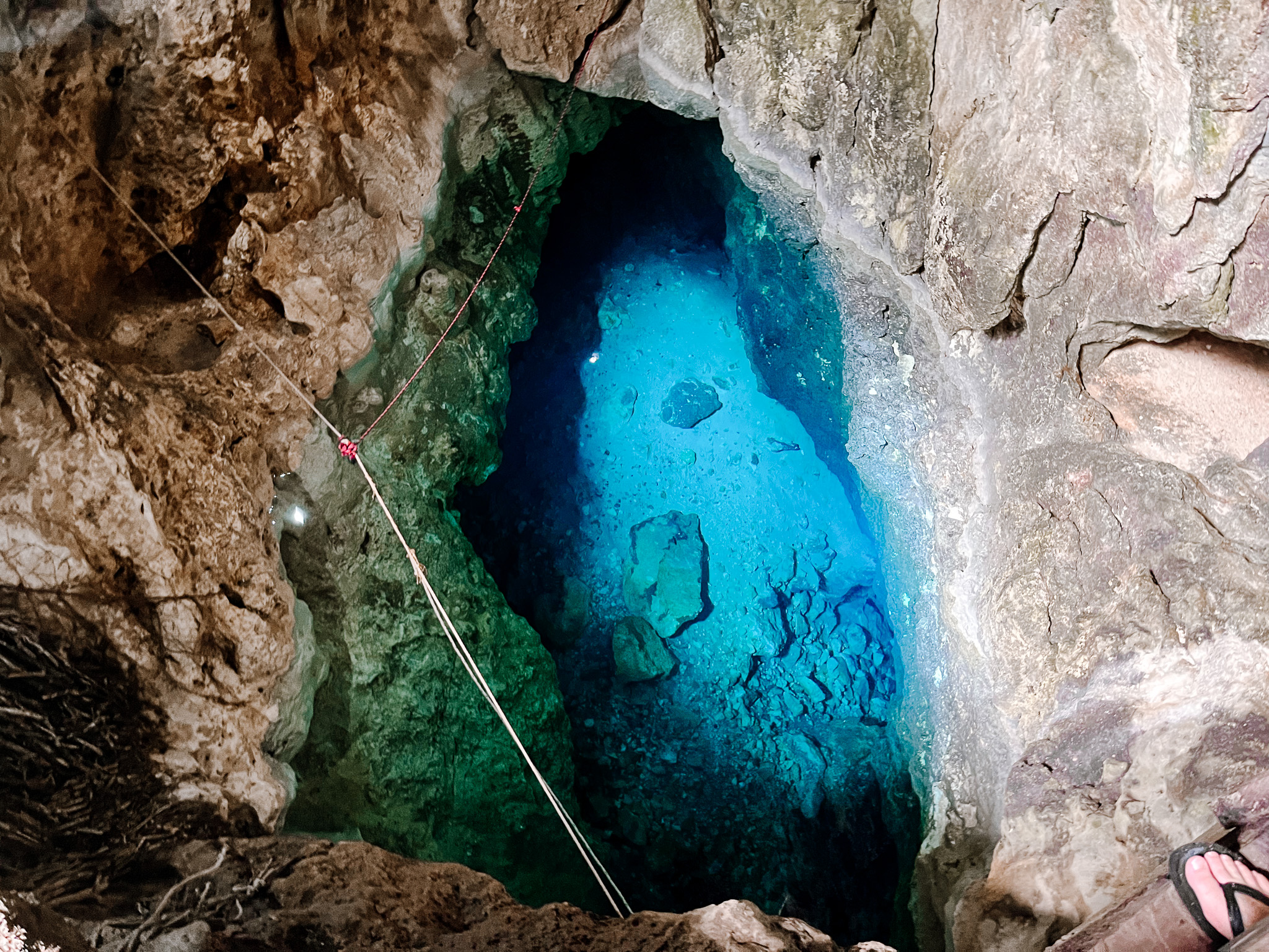 homun cenotes merida swimming